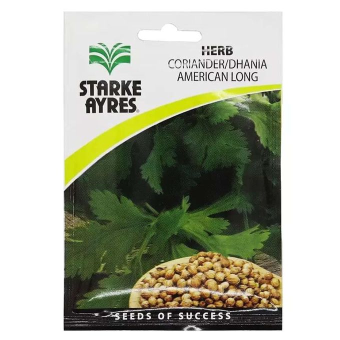 Coriander Varieties in Kenya: Best Dhania Types, Yields and Market Demand 2026 3 Starke Ayres Herb Coriander/Dhania American Long
