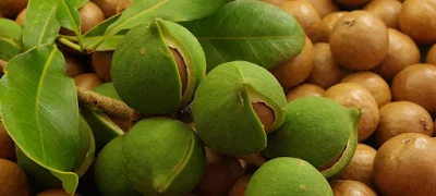 Murang'a 20 (MRG-20)