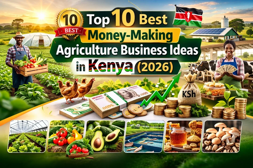 Top 10 Best Money-Making Agriculture Business Ideas in Kenya (2026)