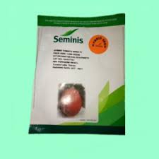 Anna F1 seedlings in a packet