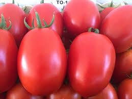 Tylka F1 tomatoes