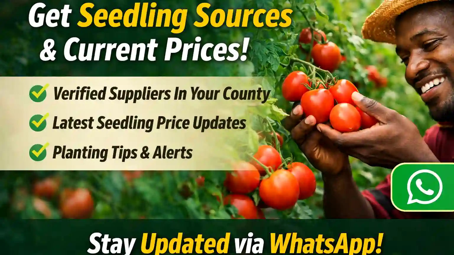 Crazy kanairo farming WhatsApp channel