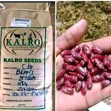 Angaza Beans (KMR 11