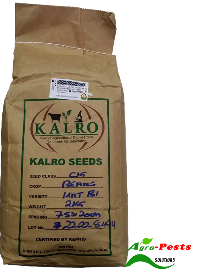 Kalro Yellow Beans KAT B1 2Kg