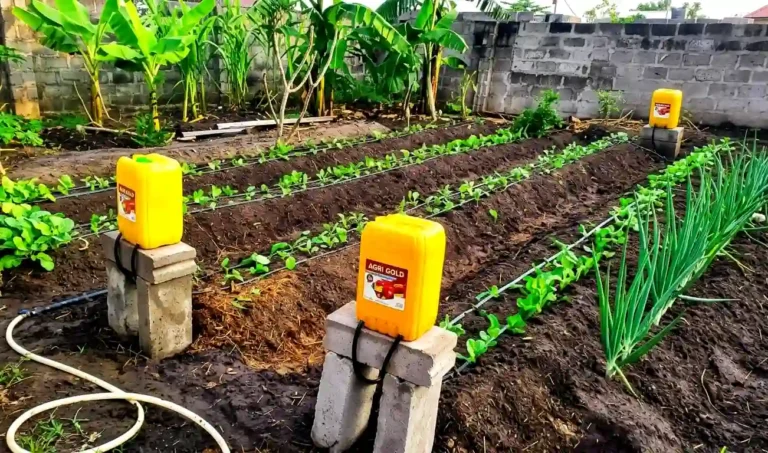 Low-Cost Gravity-Fed Irrigation System Using Jerry Cans