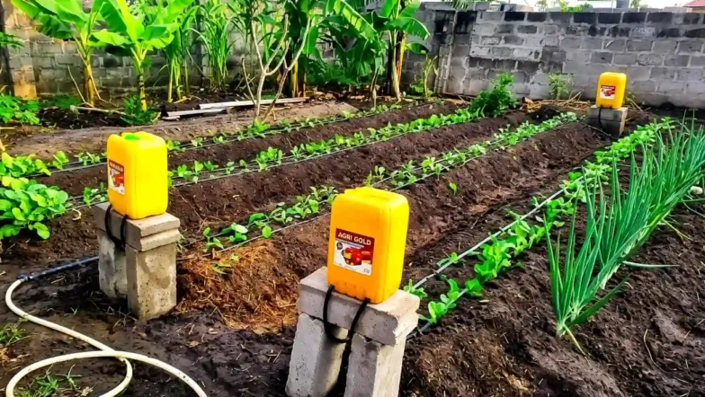 Low-Cost Gravity-Fed Irrigation System Using Jerry Cans