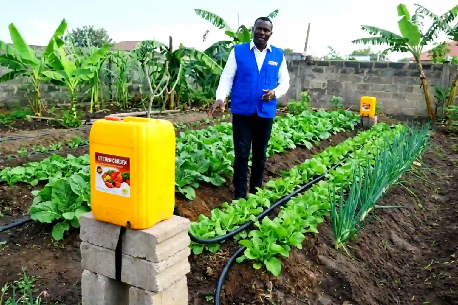 Low-Cost Gravity-Fed Irrigation System Using Jerry Cans