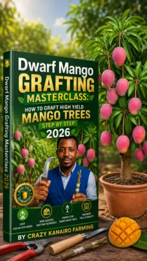 Dwarf Mango Grafting Masterclass: How to Graft High Yield Mango Trees Step by Step