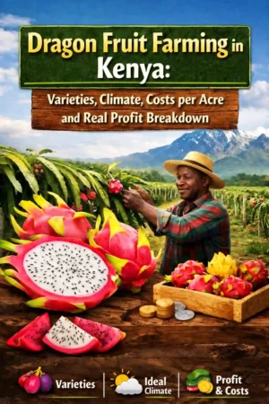 Dragon Fruit Farming in Kenya 2026: Varieties
