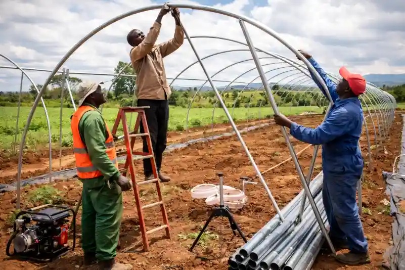 Three workers constructing the metal frame of a greenhouse in an agricultural field.