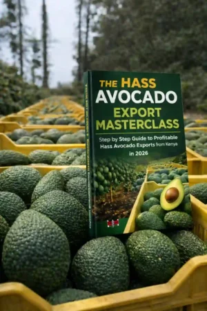 The Hass Avocado Export Masterclass: Step by Step Guide to Profitable Hass Avocado Exports from Kenya in 2026