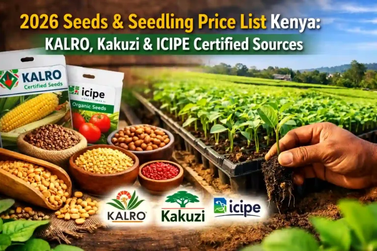 2026 Seeds & Seedling Price List Kenya