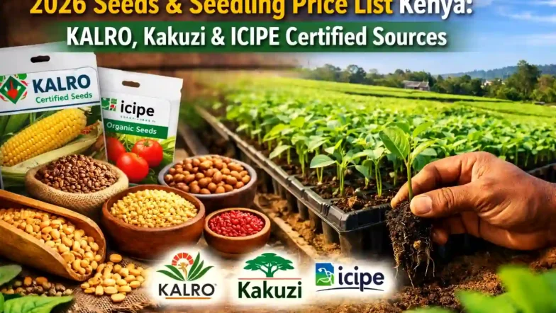 2026 Seeds & Seedling Price List Kenya
