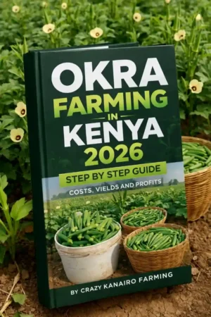 Okra Farming in Kenya 2026: Best varieties & Step by Step Guide, Costs, Yields and Profits