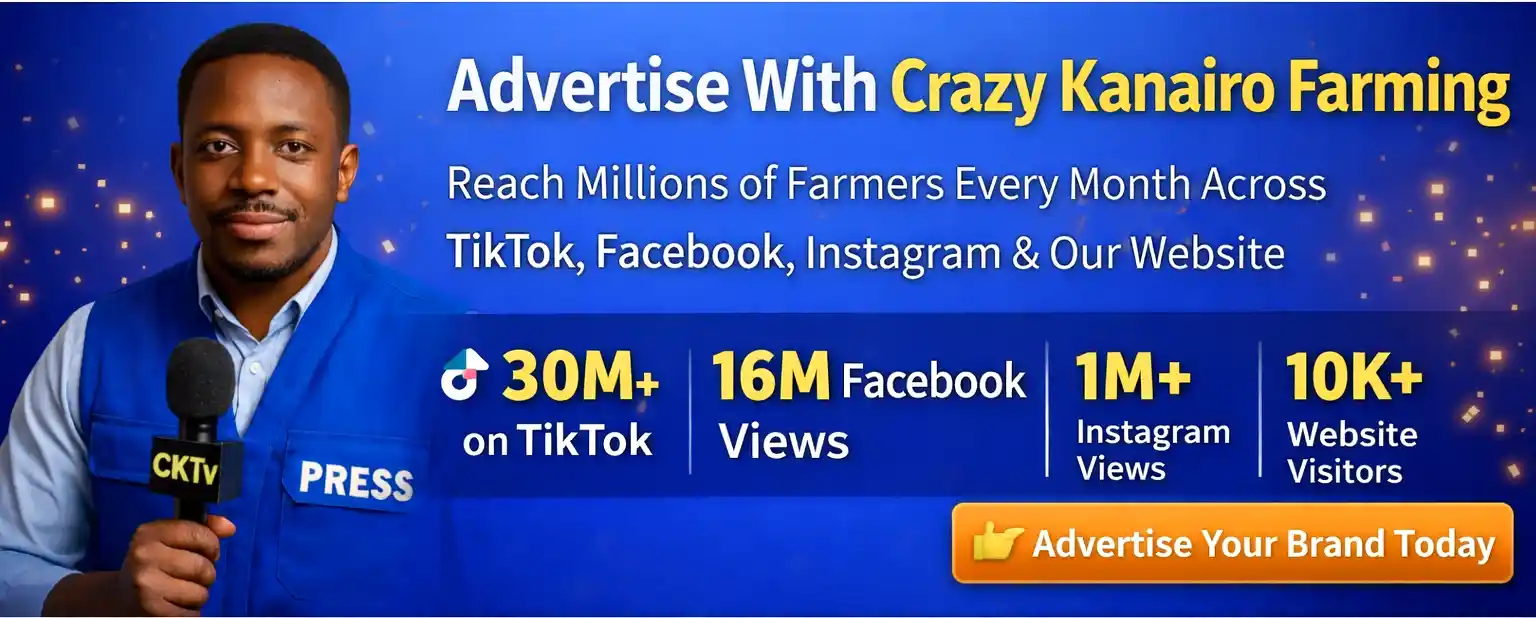 Advertise With Crazy Kanairo Farming