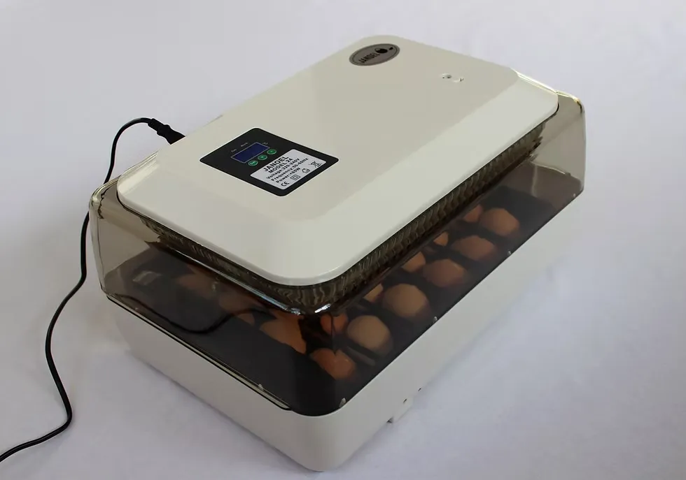 A white and grey janoel mini automatic egg incubator with a digital display and brown eggs visible through a tinted viewing window.