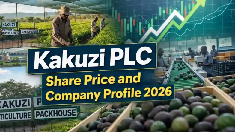Kakuzi PLC Share Price and Company Profile 2026