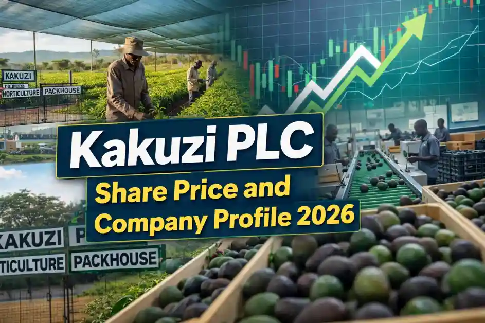 Kakuzi PLC Share Price and Company Profile 2026