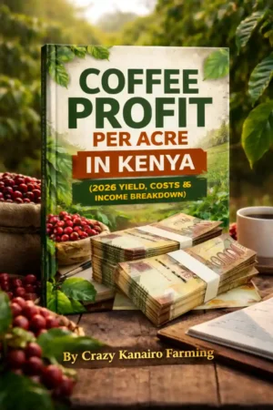 Coffee Profit Per Acre in Kenya (2026 Yield, Costs & Income Breakdown)