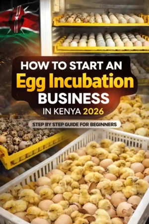 How to Start an Egg Incubation Business in Kenya 2026