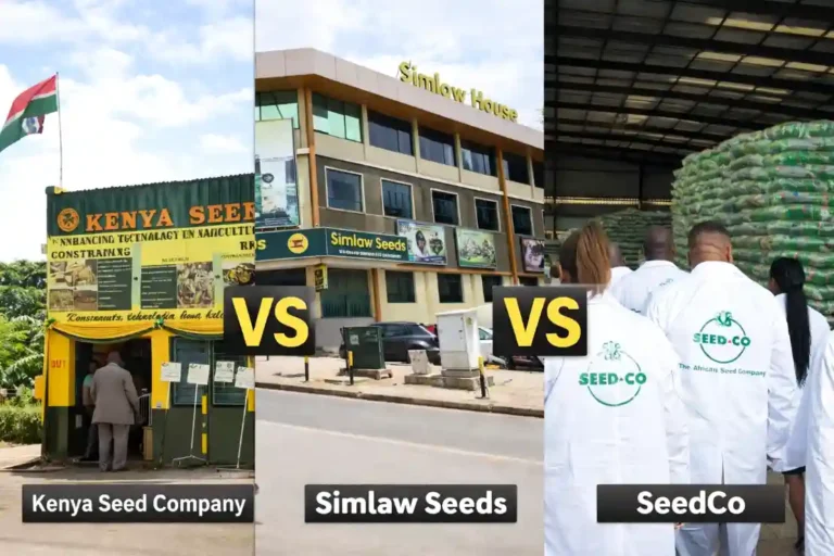 Kenya Seed Company vs Simlaw vs SeedCo: Seed Prices, Best Varieties and Where to Buy in Kenya 2026