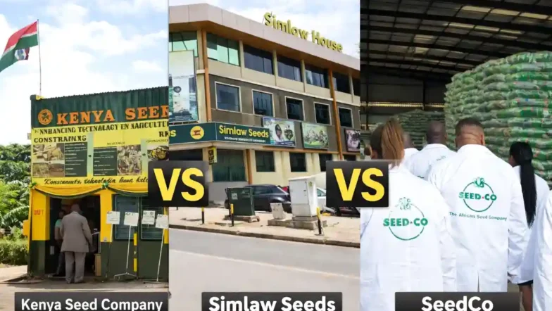 Kenya Seed Company vs Simlaw vs SeedCo: Seed Prices, Best Varieties and Where to Buy in Kenya 2026