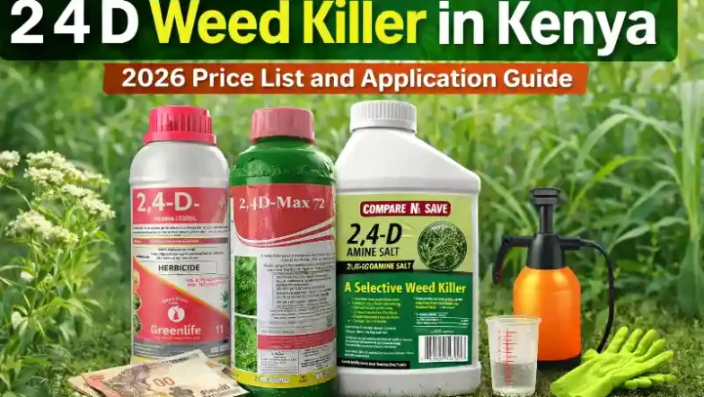 Various bottles of 2,4-D weed killer, a hand sprayer, protective gloves,