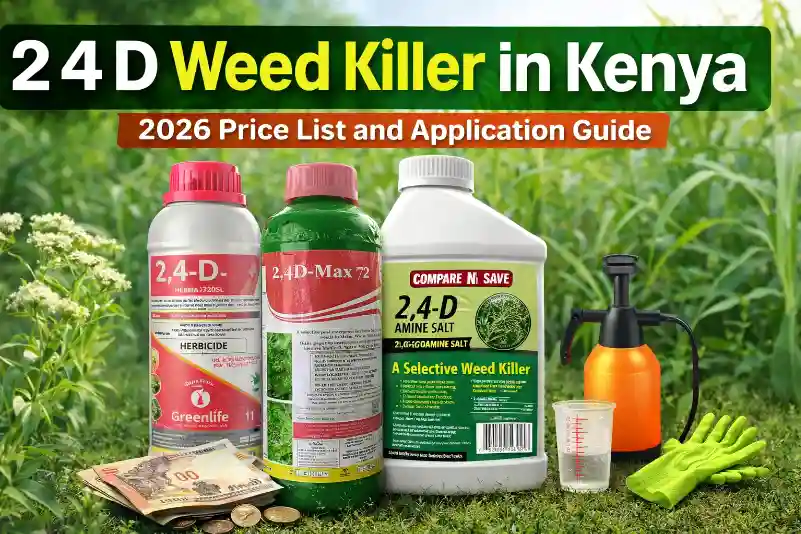 Various bottles of 2,4-D weed killer, a hand sprayer, protective gloves,