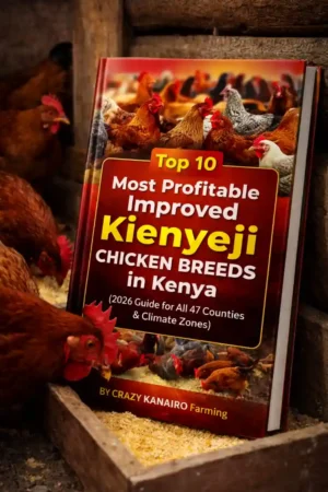 Top 10 Most Profitable Improved Kienyeji Chicken Breeds in Kenya (2026 Guide for All 47 Counties & Climate Zones)