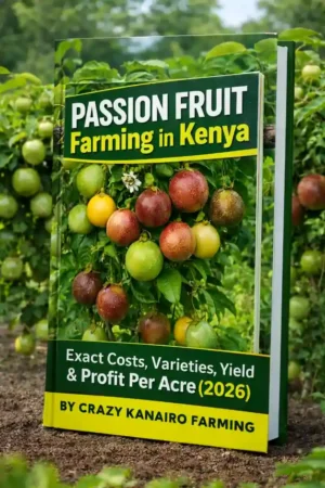 Passion Fruit Farming in Kenya (2026): Exact Costs, Yield & Profit Per Acre