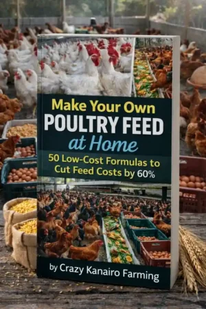Make Your Own Poultry Feed at Home