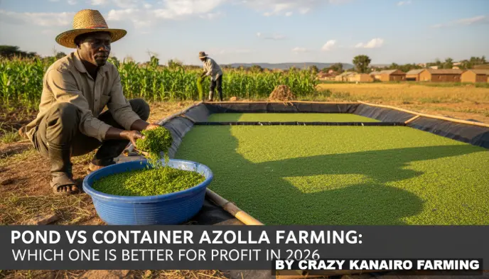 A farmer inspecting both a small plastic basin and a larger lined pond side-by-side.
