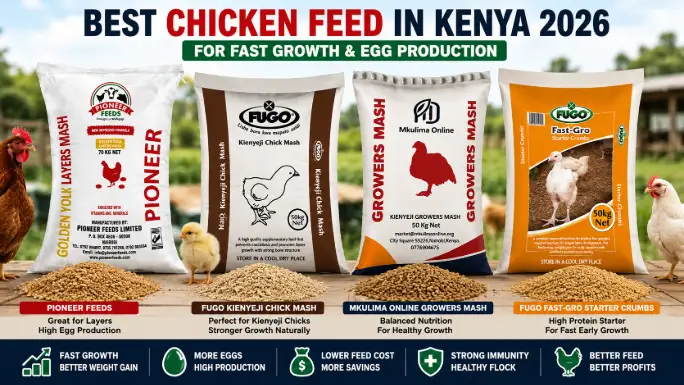 Best Chicken Feed in Kenya 2026 for Fast Growth & Egg Production 4 Best Chicken Feed in Kenya 2026 collage showing popular poultry feed brands for fast growth and egg production.