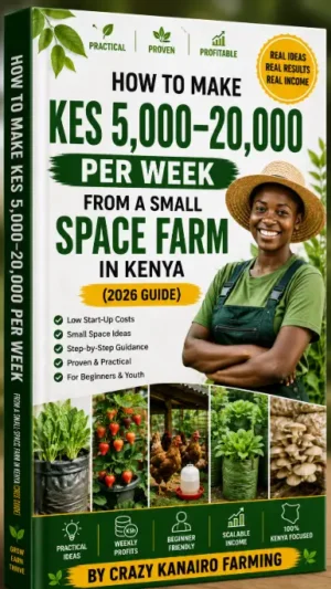 How to Make KES 5,000–20,000 Per Week From a Small Space Farm in Kenya (2026 Guide)