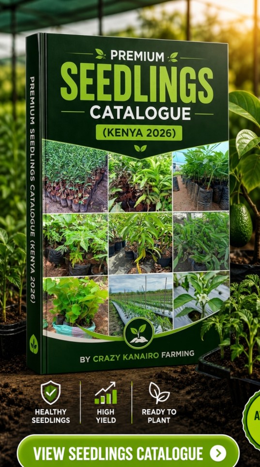 seedlings catalogue kenya