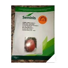 A white and green seed packet for Seminis brand Hybrid Tomato Avinash F1 seeds containing 1,000 seeds.
