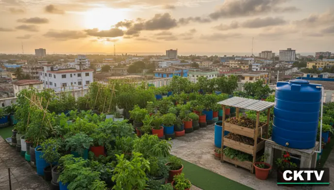A wide-angle view of a diverse urban garden on a rooftop