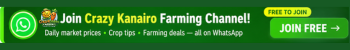 WHATSAPP CHANNEL Mobile Banner Ads