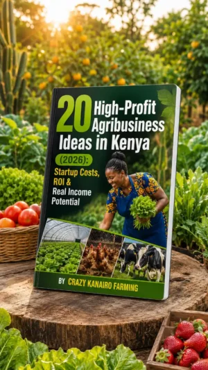 20 High-Profit Agribusiness Ideas in Kenya (2026) | Startup Costs, ROI & Farming Profit Guide