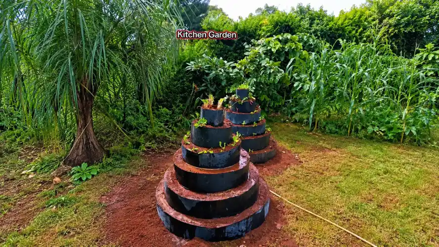Two tiered, circular Multi-Storey Vertical Garden  filled with soil and small plants are set in a lush kitchen garden surrounded by trees and greenery.