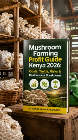 Mushroom Farming Profit Guide Kenya 2026: Costs, Yields, Risks & Real Income Breakdown