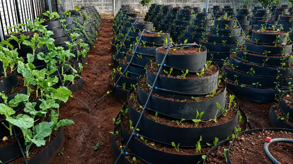 Commercial vertical farm with tiered HDPE towers and integrated drip irrigation for high-density vegetable production.