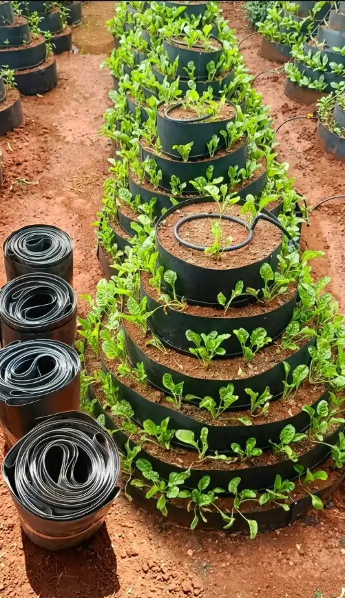multi-storey cone garden