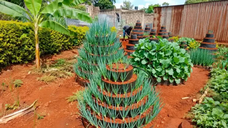 Multi-Storey Vertical Garden Farming in Kenya: Complete Setup Guide 2026 7 Multi-Storey Vertical Garden Farming in Kenya: Complete Setup Guide 2026