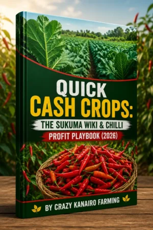 Sukuma Wiki farming Kenya, Chilli profit per acre, commercial farming Kenya, Bird's Eye Chilli export, Mfalme F1 Sukuma Wiki, irrigation farming Kenya, quick cash crops.