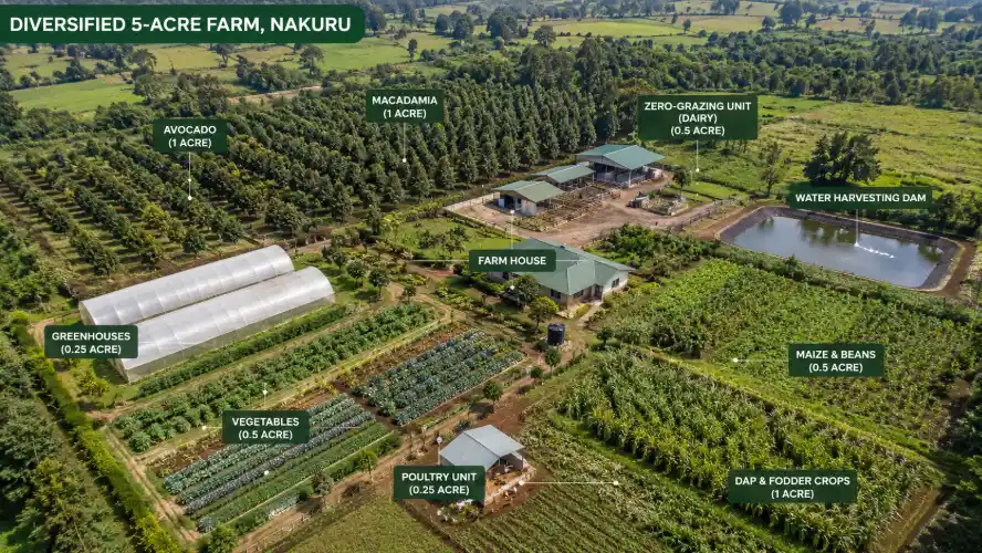 Avocado, Macadamia or Dairy? Best Export-Ready Agribusiness Ventures in Kenya for 2026 6 An aerial view of a diversified 5-acre farm in Nakuru