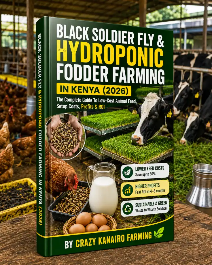 BLACK SOLDIER FLY & HYDROPONIC FODDER FARMING IN KENYA (2026) The Complete Guide To Low-Cost Animal Feed, Setup Costs, Profits & ROI 1 BLACK SOLDIER FLY & HYDROPONIC FODDER FARMING IN KENYA (2026) The Complete Guide To Low-Cost Animal Feed, Setup Costs, Profits & ROI