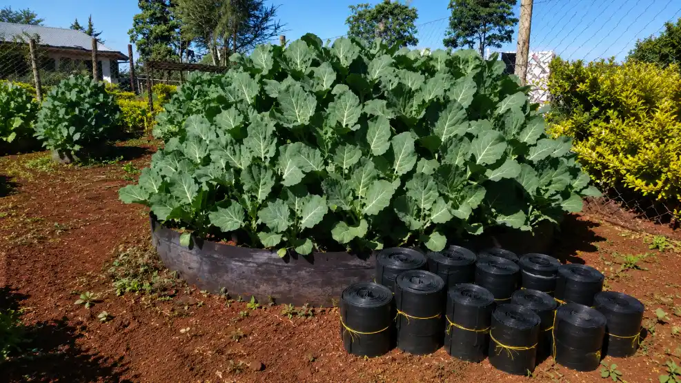 Multi-Storey Garden Price in Kenya (2026)