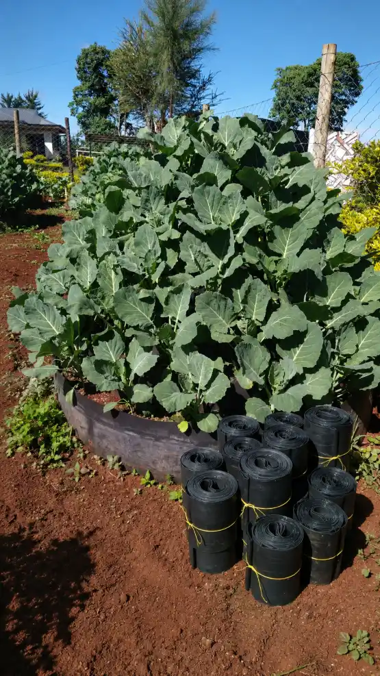 Multi-Storey Garden Price in Kenya (2026) | 5-Storey Vertical Garden Tower 2 Multi-Storey Garden Price in Kenya (2026) | 5-Storey Vertical Garden Tower - Image 2