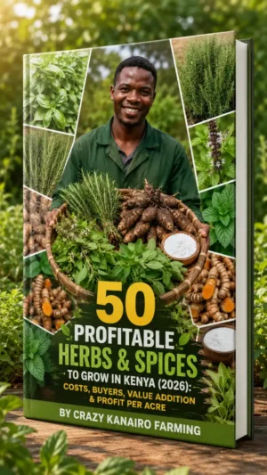 50 Profitable Herbs & Spices to Grow in Kenya (2026): Costs, Buyers, Value Addition & Profit Per Acre
